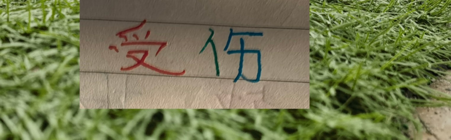 手机老虎机-也是扯平！重庆让了李镇全+阿马杜 申花伤特谢拉 盖伊